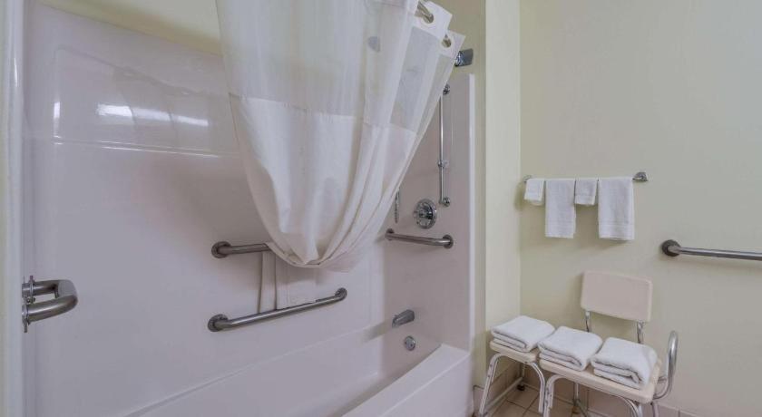 Queen Room Roll Shower Accessible or Non-Smoking,1280620309:JPEG